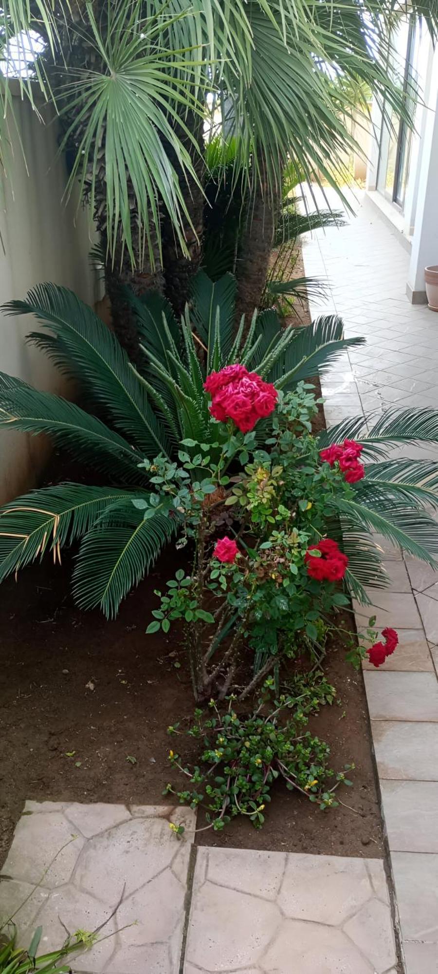 Viki House Mazara Apartamento *