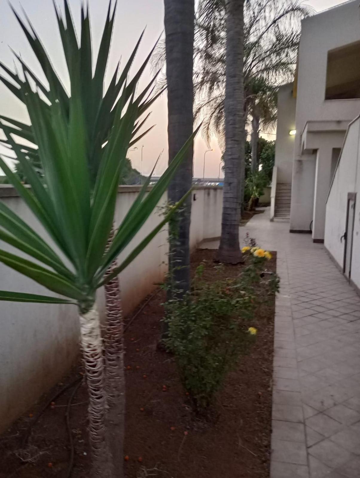 Viki House Mazara *